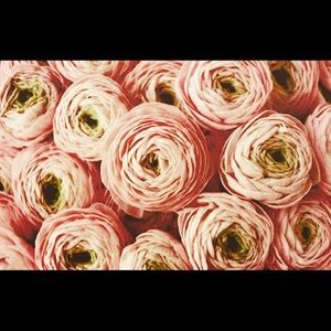 Meet your Posher, Rachael